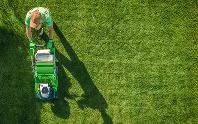 cutting grass